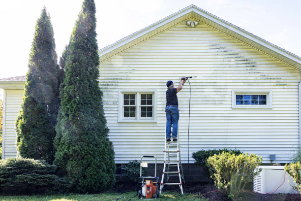 Best Soft Washing  in Independent Hill, VA